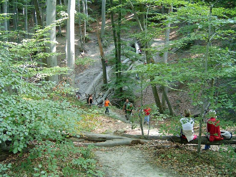 szate 2011.09.17 (095).jpg